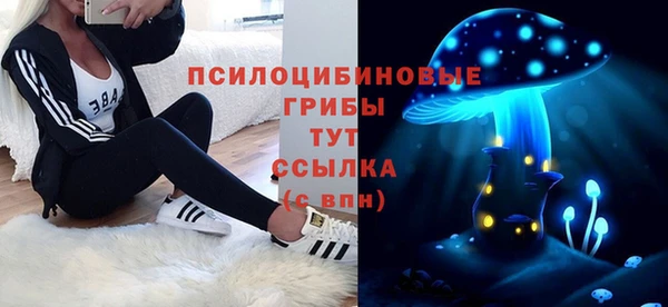 стаф Волоколамск