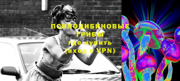стаф Волоколамск