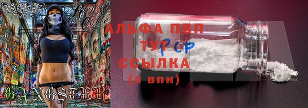 гидра Волосово