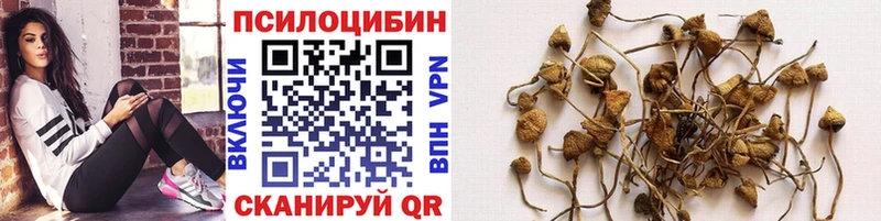 Псилоцибиновые грибы Magic Shrooms blacksprut маркетплейс Чудово
